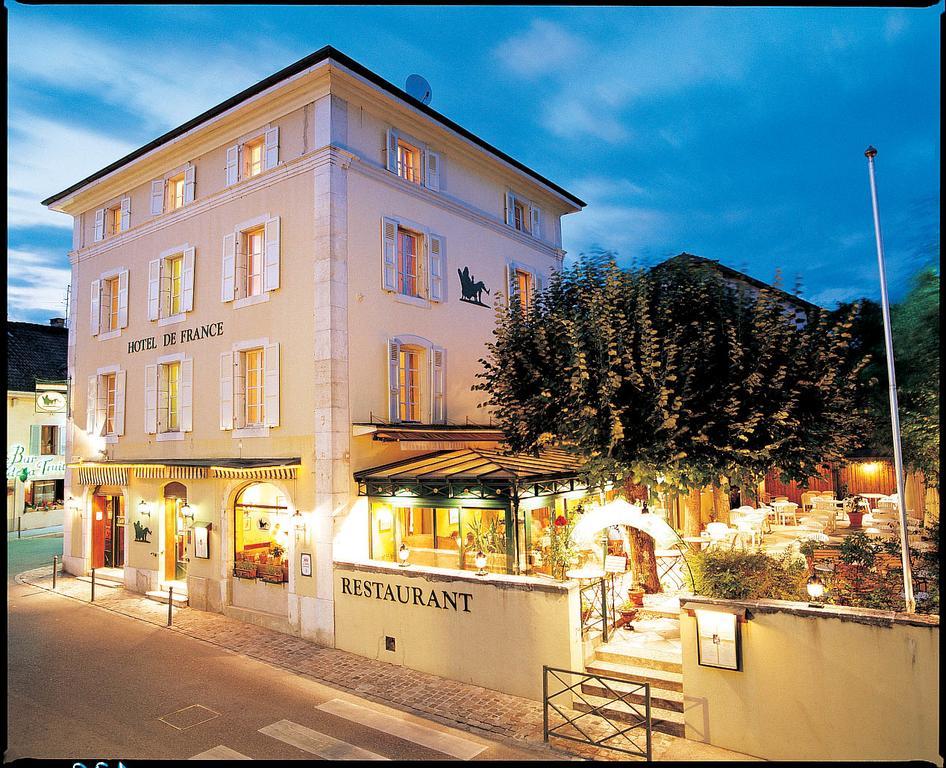 Hotel De France Ferney Voltaire Dış mekan fotoğraf